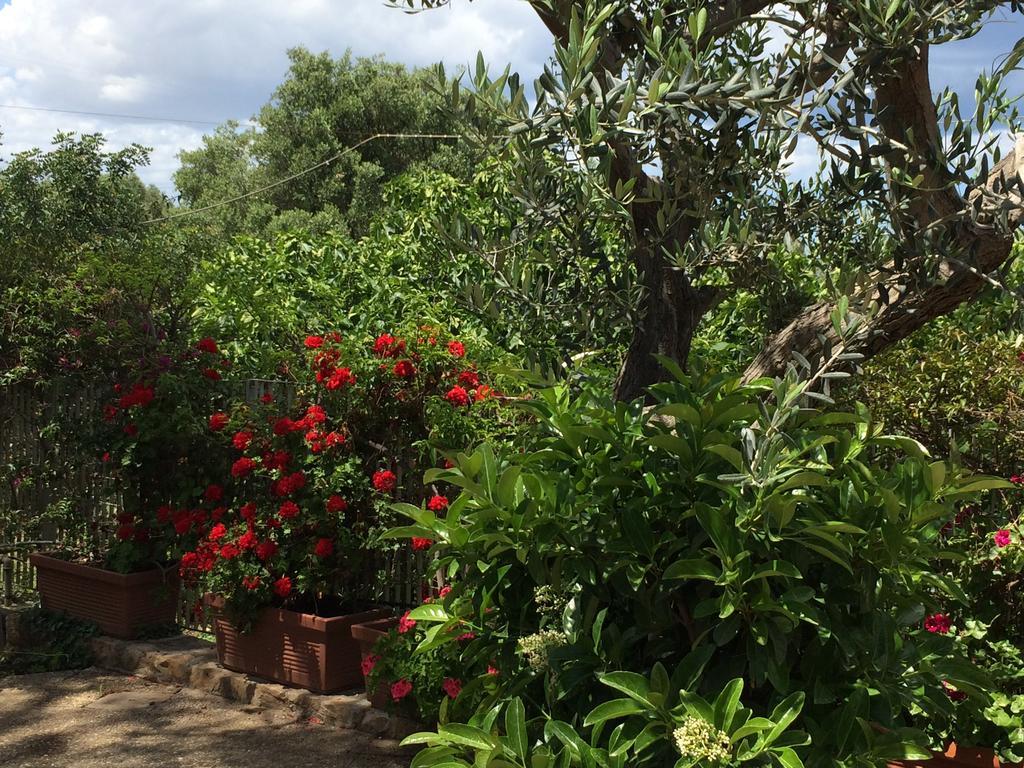 Amoredimare B&B In Villa بولينيانو آ ماري المظهر الخارجي الصورة
